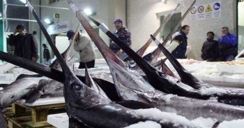 Il Centro Agro Alimentare di Guidonia