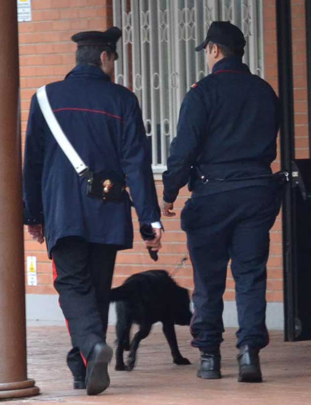 Unità cinofila Carabinieri