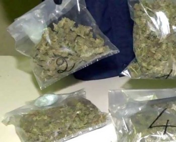 marijuana-in busta