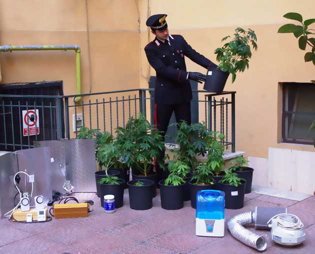 La piantagione sequestrata dai carabinieri al giovane studente romano
