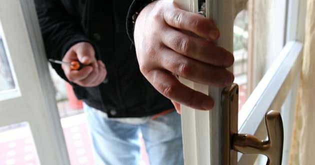 Topo d’appartamento