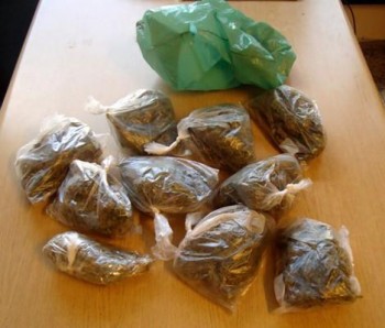 La marijuana sequestrata