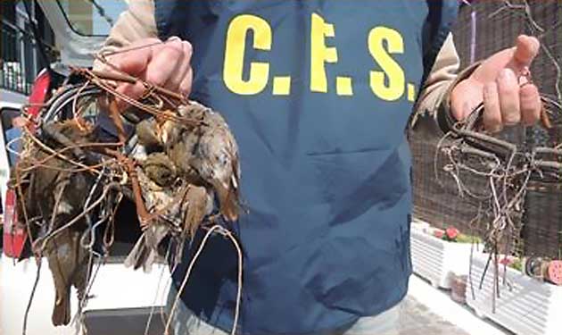 Corpo Forestale dello Stato - Ponza