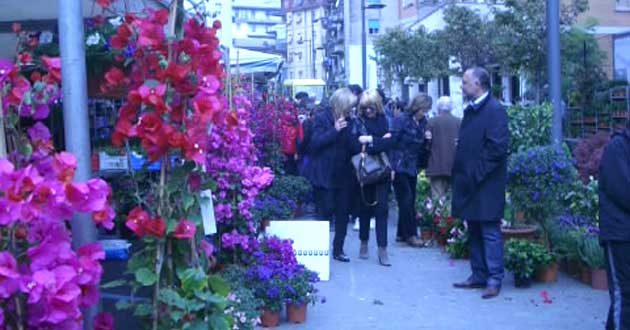 Colleferro - Viale XXV Aprile – “Fiera delle piante e dei fiori”