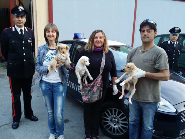 Foto Compagnia Frosinone - cuccioli