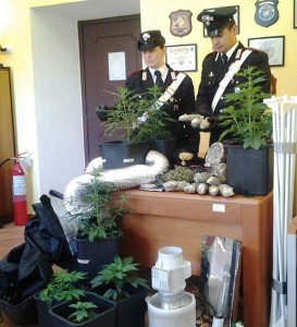 L'attrezzatura e la marijuana sequestrata dai Carabinieri