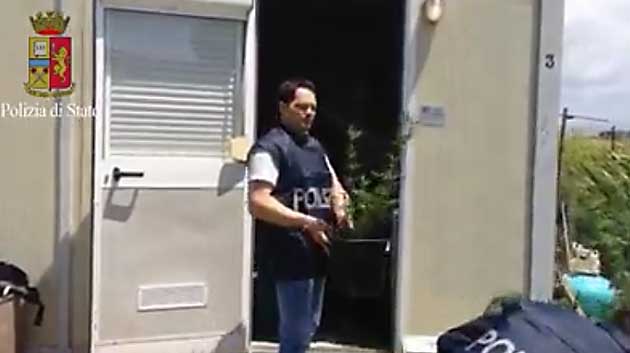Polizia - Ardea- Coltivazione marijuana