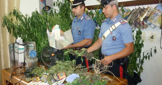La marijuana sequestrata dai Carabinieri a Trevignano Romano