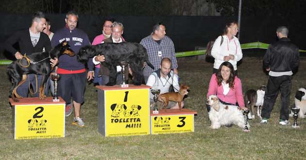 Grande successo per la II Edizione dell’“Expò Canina Città di Ferentino”
