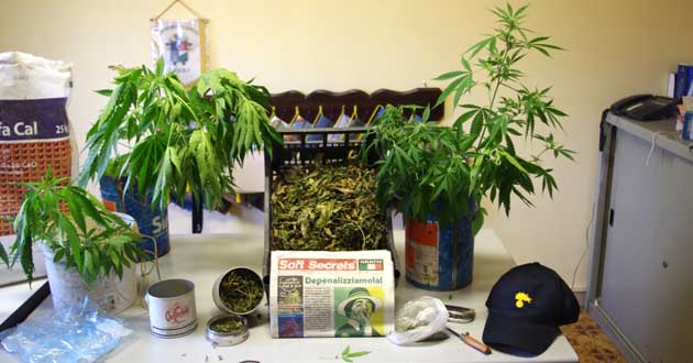 La droga sequestrata dai Carabinieri della Stazione di Paliano