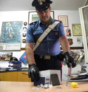 Il materiale sequestrato dai Carabinieri di Genzano