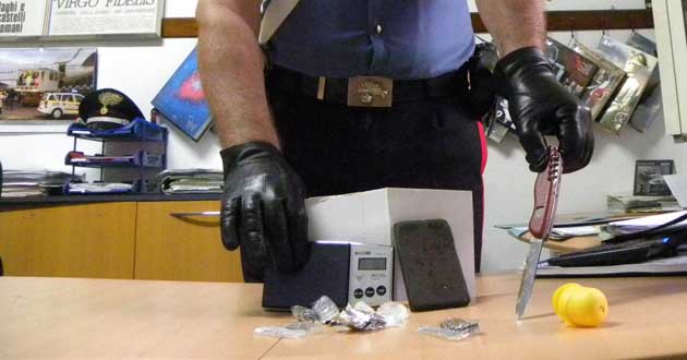 Il materiale sequestrato dai Carabinieri di Genzano