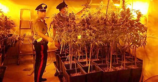 Carabinieri. Operazione antidroga Itri