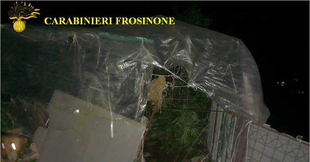 La droga sequestrata dai Carabinieri di Frosinone