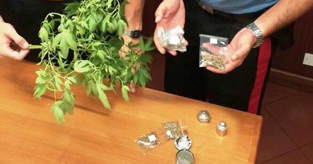 La droga sequestrata dai Carabinieri di Trastevere