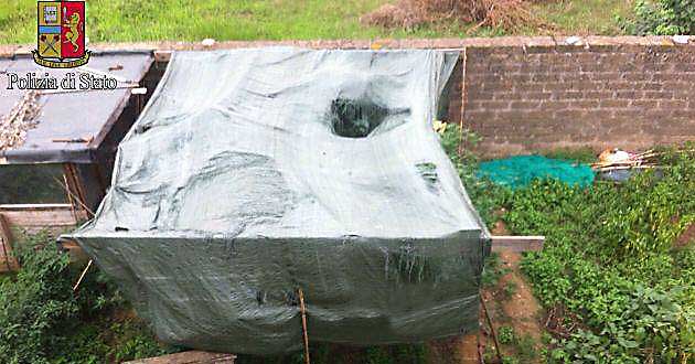 La serra di marijuana scoperta dalla Polizia a Tor San Lorenzo