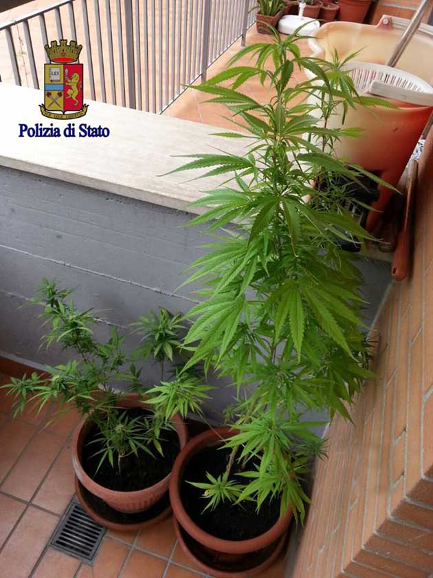 Roma. Romanina. Cocaina nella marmitta dell’auto e piante di marijuana in casa