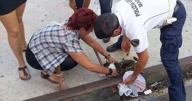 Marino. Scalinata della stazione. La Polizia Locale libera un gattino incastrato con le zampette in una grata