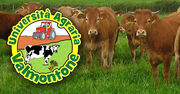 Università Agraria di Valmontone
