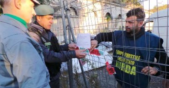 CFS - Controlli botticelle romane