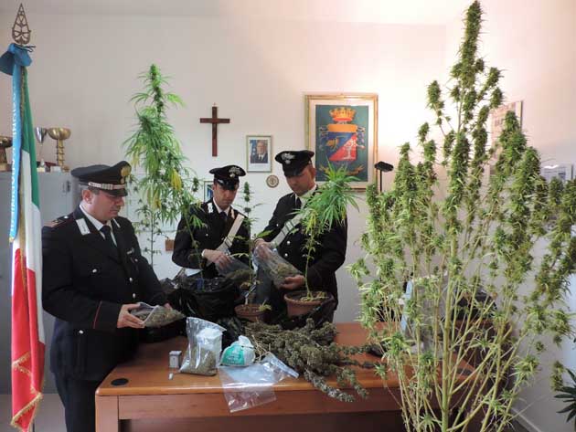 La droga sequestrata dai Carabinieri di Ostia