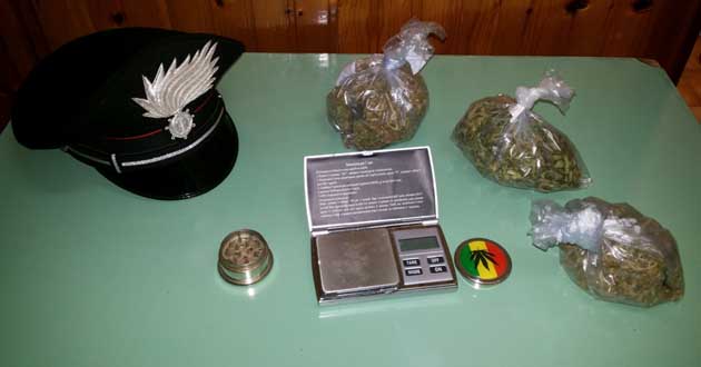 Lo stupefacente sequestrato a Pofi dai Carabinieri