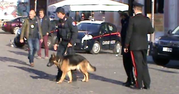 Nell’operazione sono state utilizzate anche unità cinofile