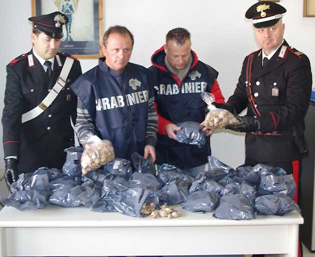 Le capsule di papavero da oppio sequestrate dai Carabinieri di Anzio
