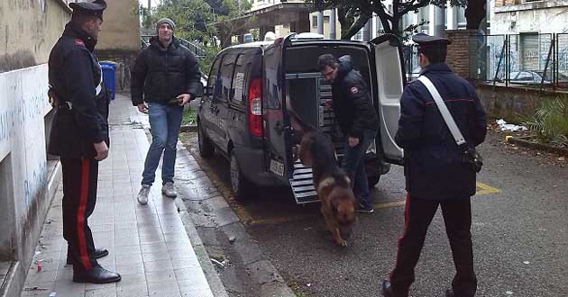Unità Cinofile dei Carabinieri alle scuole medie di Cassino