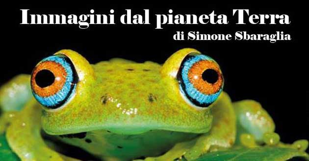 Immagini dal Pianeta Terra Simone Sbaraglia