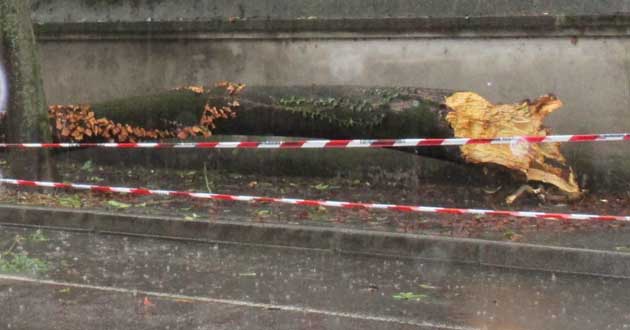 20150325 - Maltempo Roma e Castelli Romani