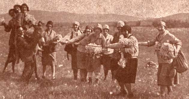 dopolavoristi raccolgono narcisi