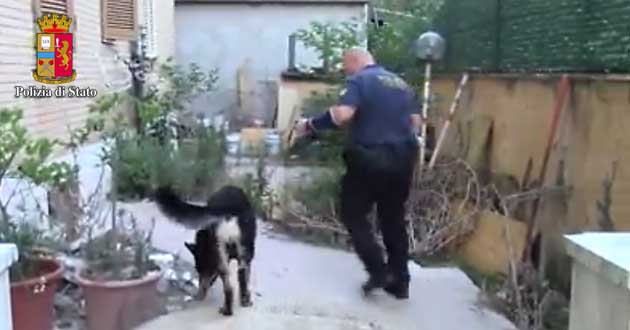 Polizia-Operazione-Heavy-Wheel