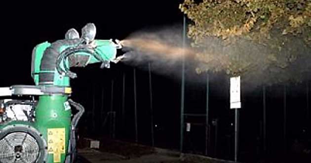 disinfestazione-notte