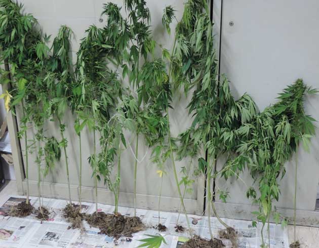 Carabinieri-Ausonia-foto-4-630