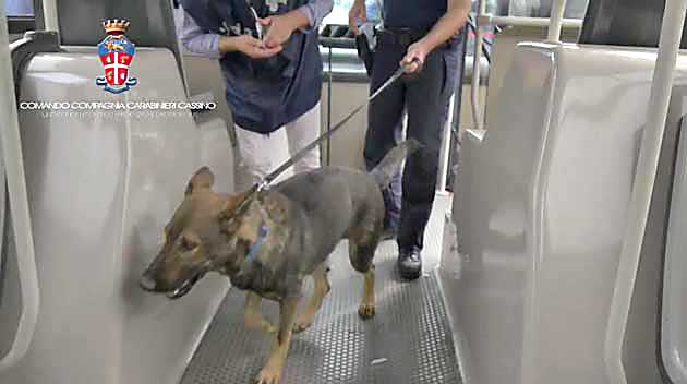 Cassino-Carabinieri-unita-cinofile-controllo-autobus-04