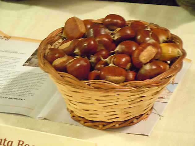 Segni-conferenza-stampa-marrone-doro-2015-31