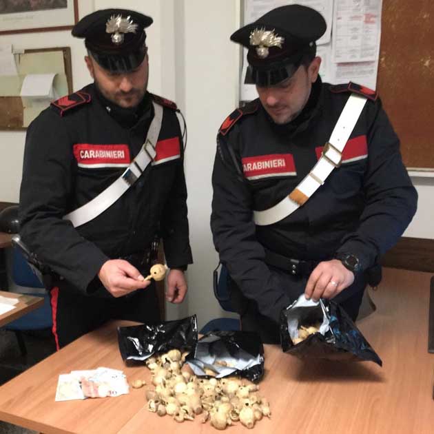 NRM - I papaveri da oppio sequestrati dai Carabinieri (1)-630q