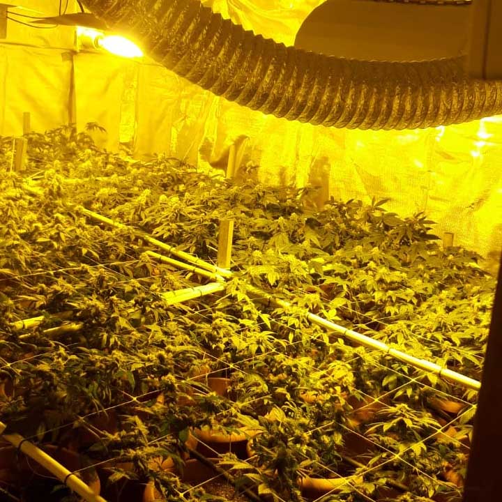 08fa0bbd-c4d3-4435-952f-ad774724bd22