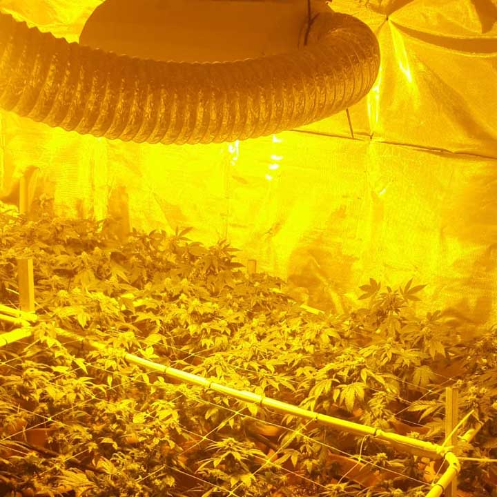 0b7c6339-fd87-4857-9598-7988a482d262