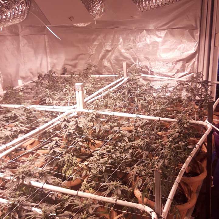 3875b83d-7b03-4183-8310-9eb563fb525b