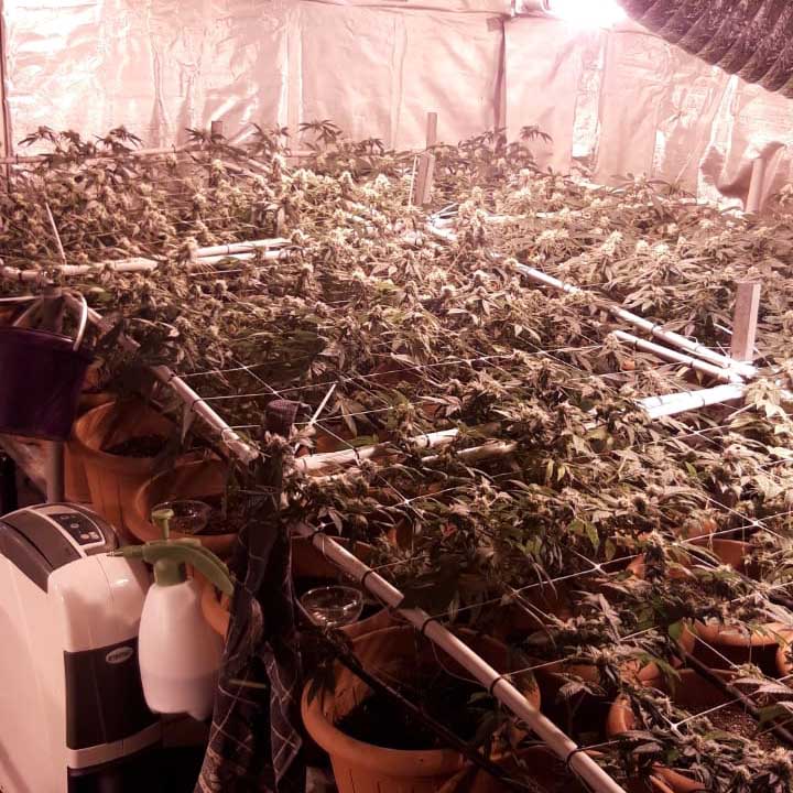 402872fd-7b5c-4d07-bbd7-3a22768b1989