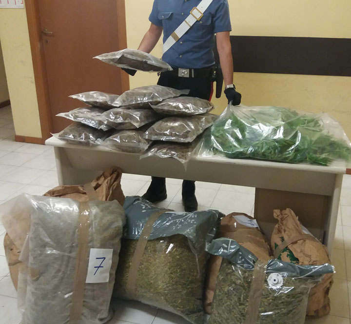 ANZIO - La droga sequestrata dai Carabinieri (1) 720