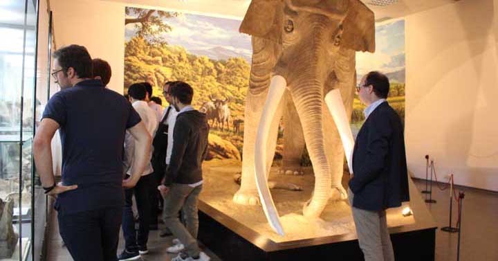 Colleferro-Conclusa-XX-Cva-Summer-School-23