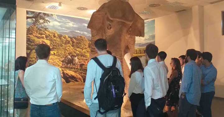 Colleferro-Conclusa-XX-Cva-Summer-School-26