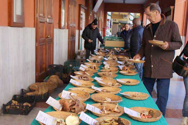 Colleferro-Festa-Santa-Barbara-2019-01