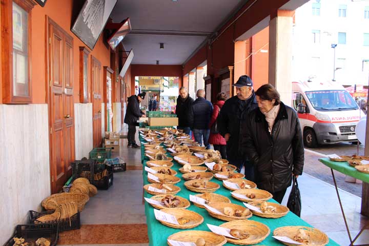 Colleferro-Festa-Santa-Barbara-2019-02