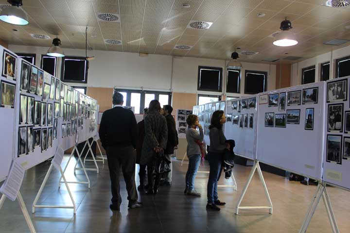 Colleferro-mostra-Elvis-Unlocked-03