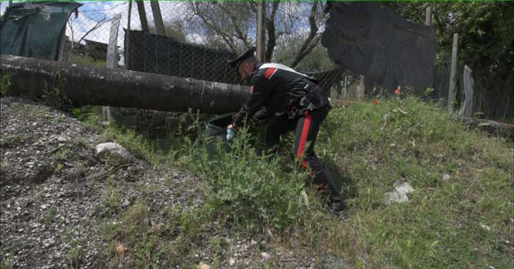 MONTEROTONDO - Operazione New Generations (2)