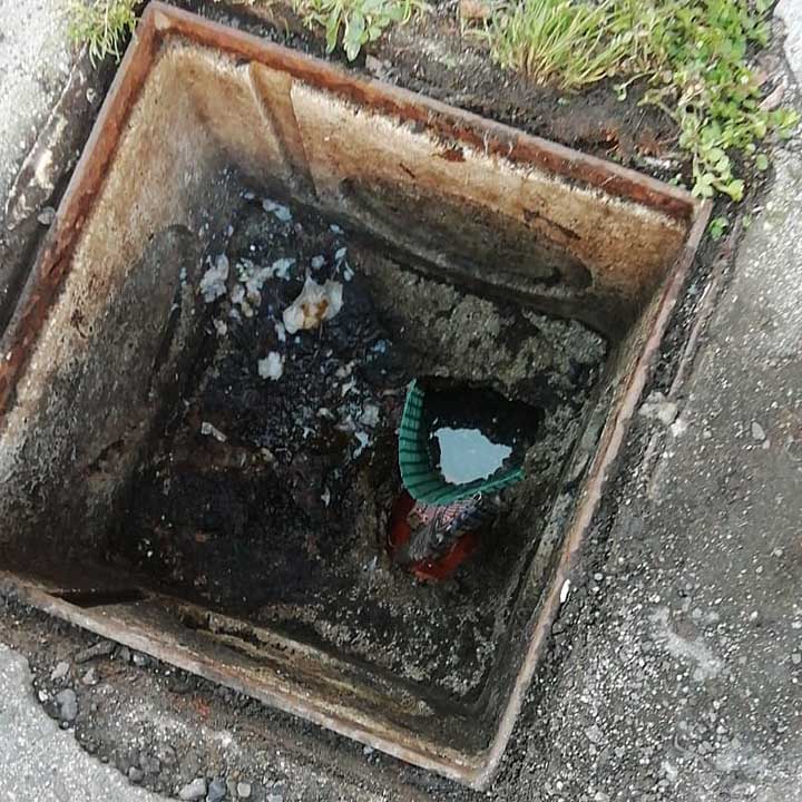 Polizia-Colleferro-sequestro-droga-01